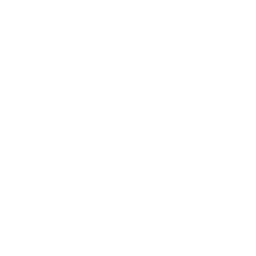 Vision